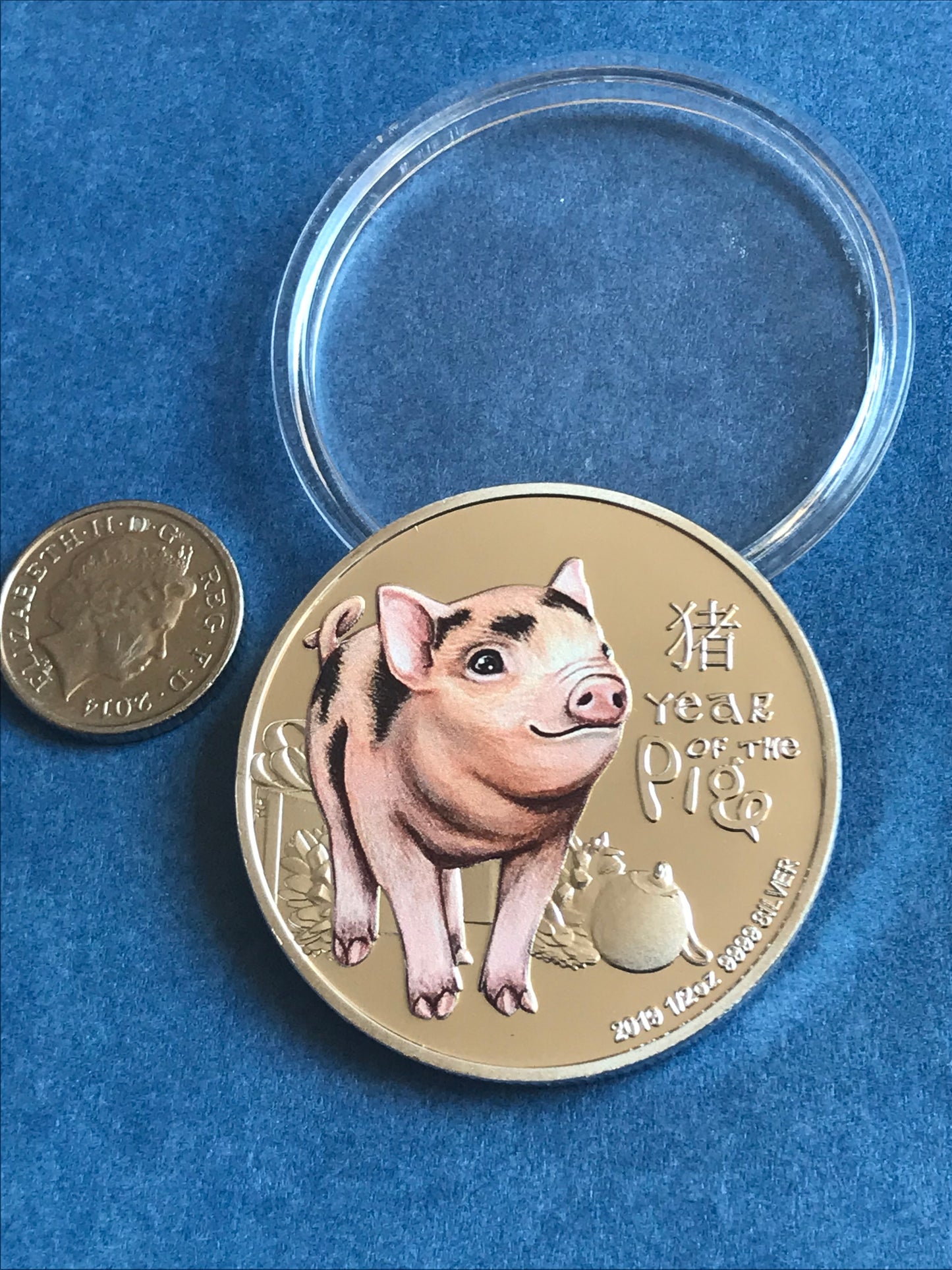 Gold coin with pig illustration and text on a blue background