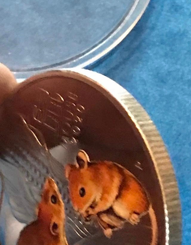 Silver coin year of the mouse