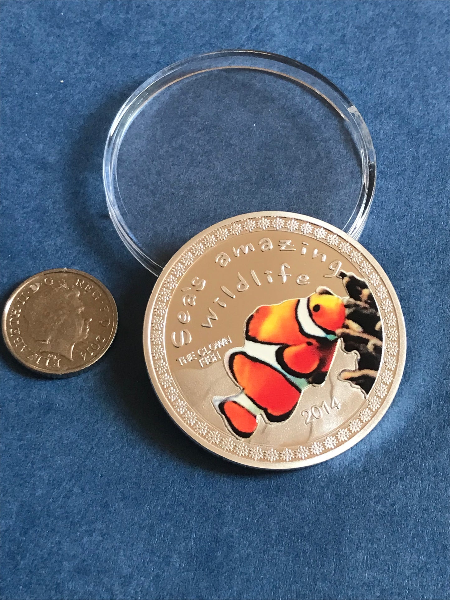 2014 Clown Fish Seas Amazing Wildlife coin on a blue background