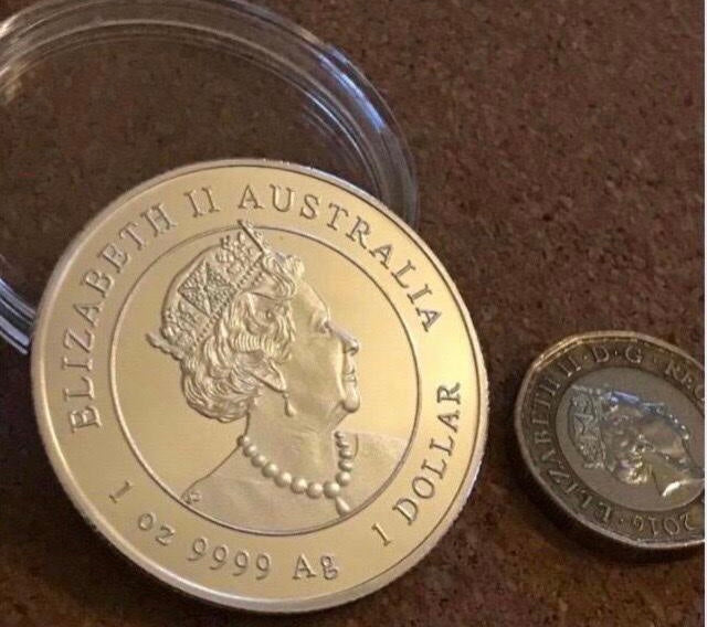 Queen Elizabeth 2nd year of the mouse coin