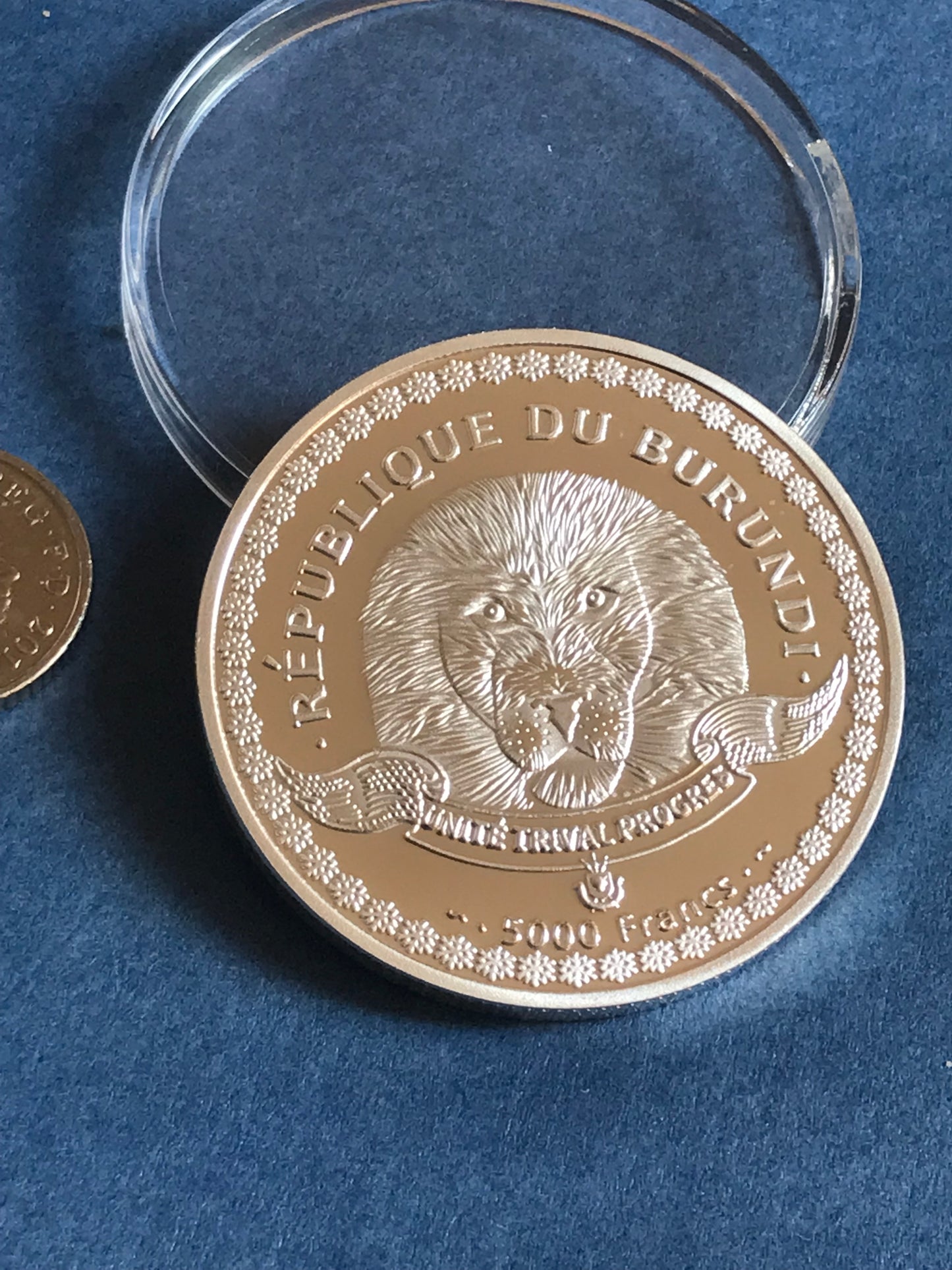 Gold coin with a lion design on a blue background