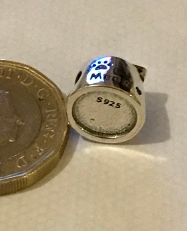 Silver Pet cat charm next to a British pound coin on a beige background