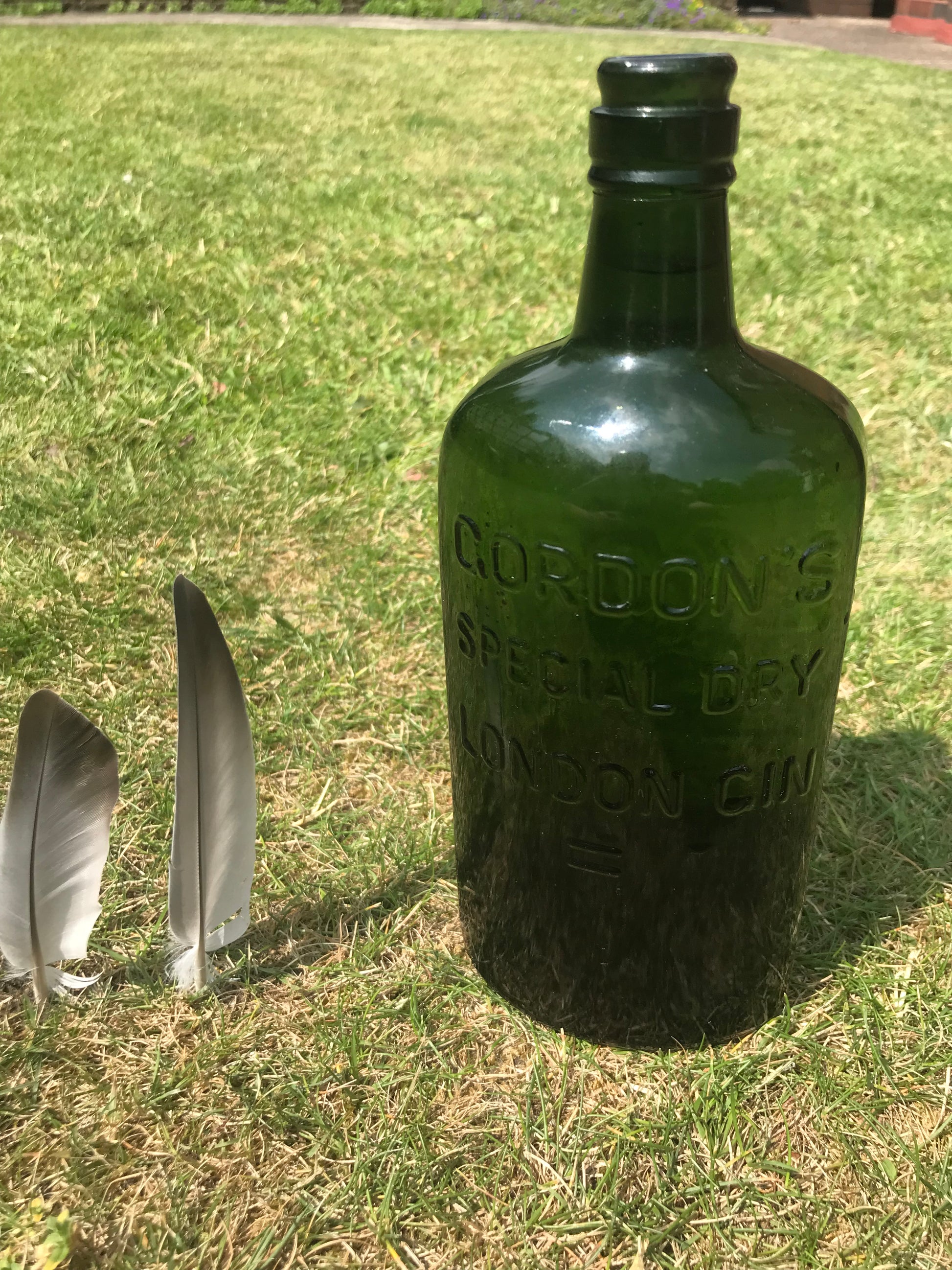 Green bottle with 'Gordon's' branding on grass