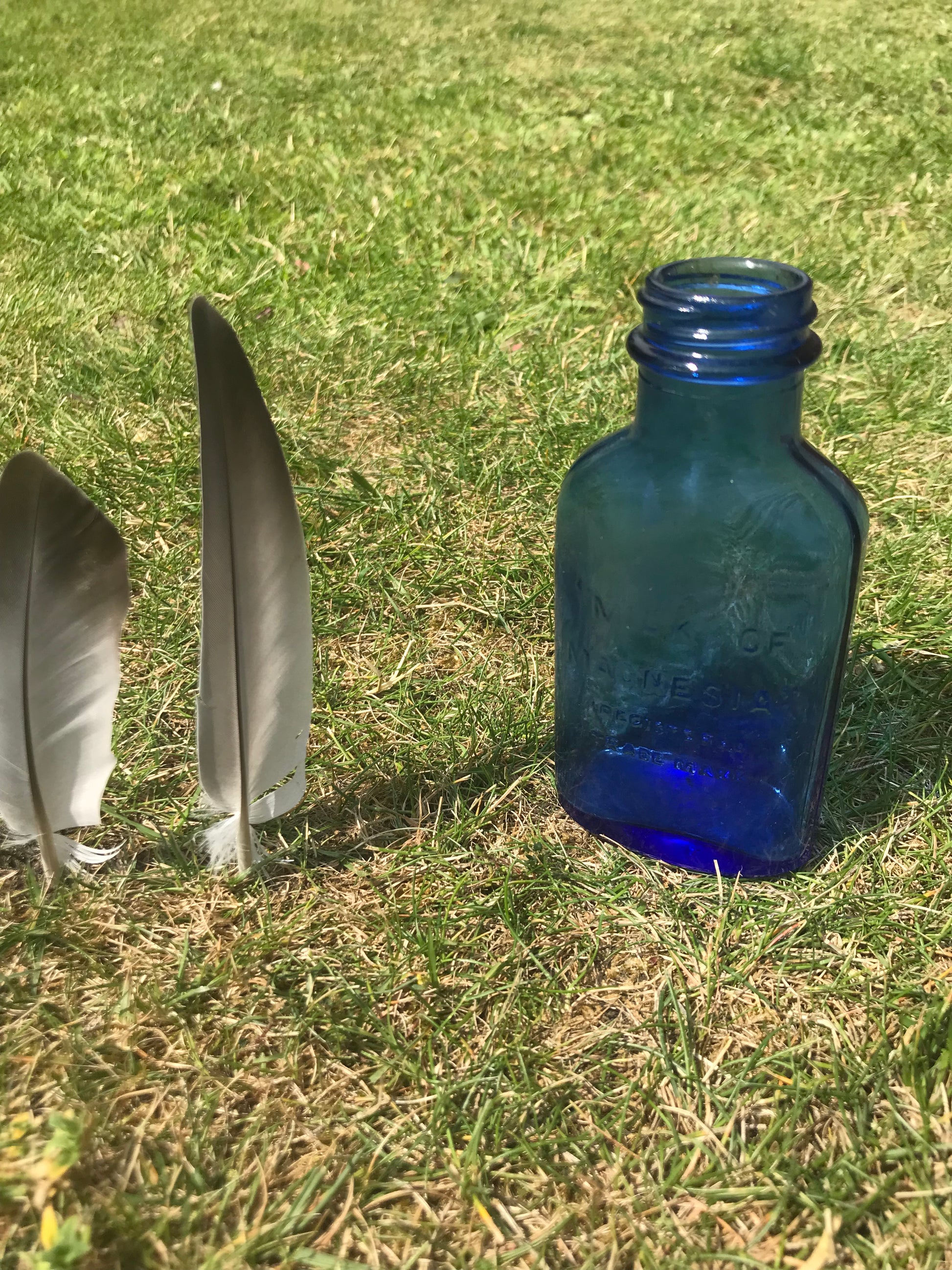 Cobalt Blue Milk of Magnesia small vintage bottle and feathers on grass