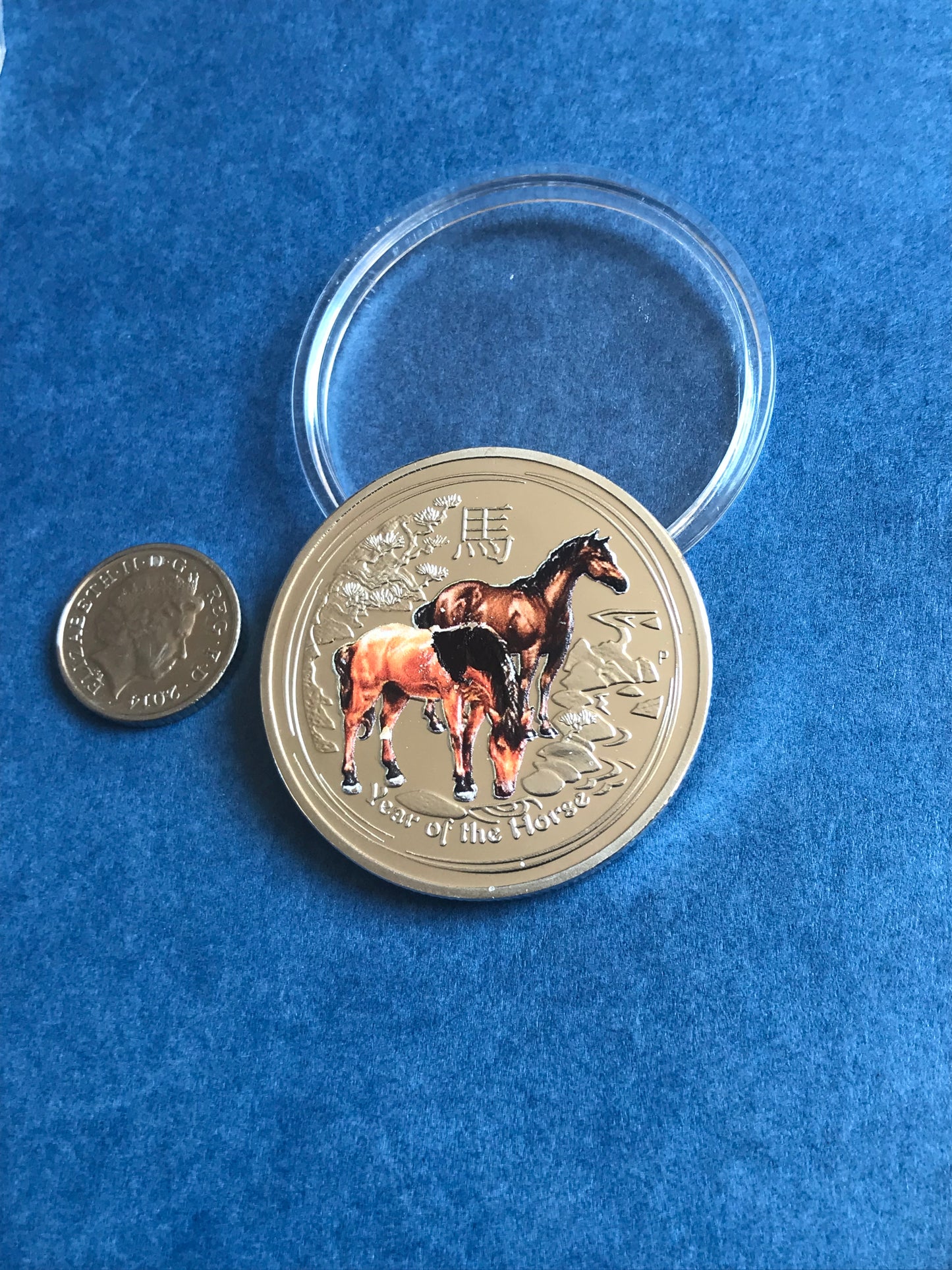 Gold coin with horse design on a blue background