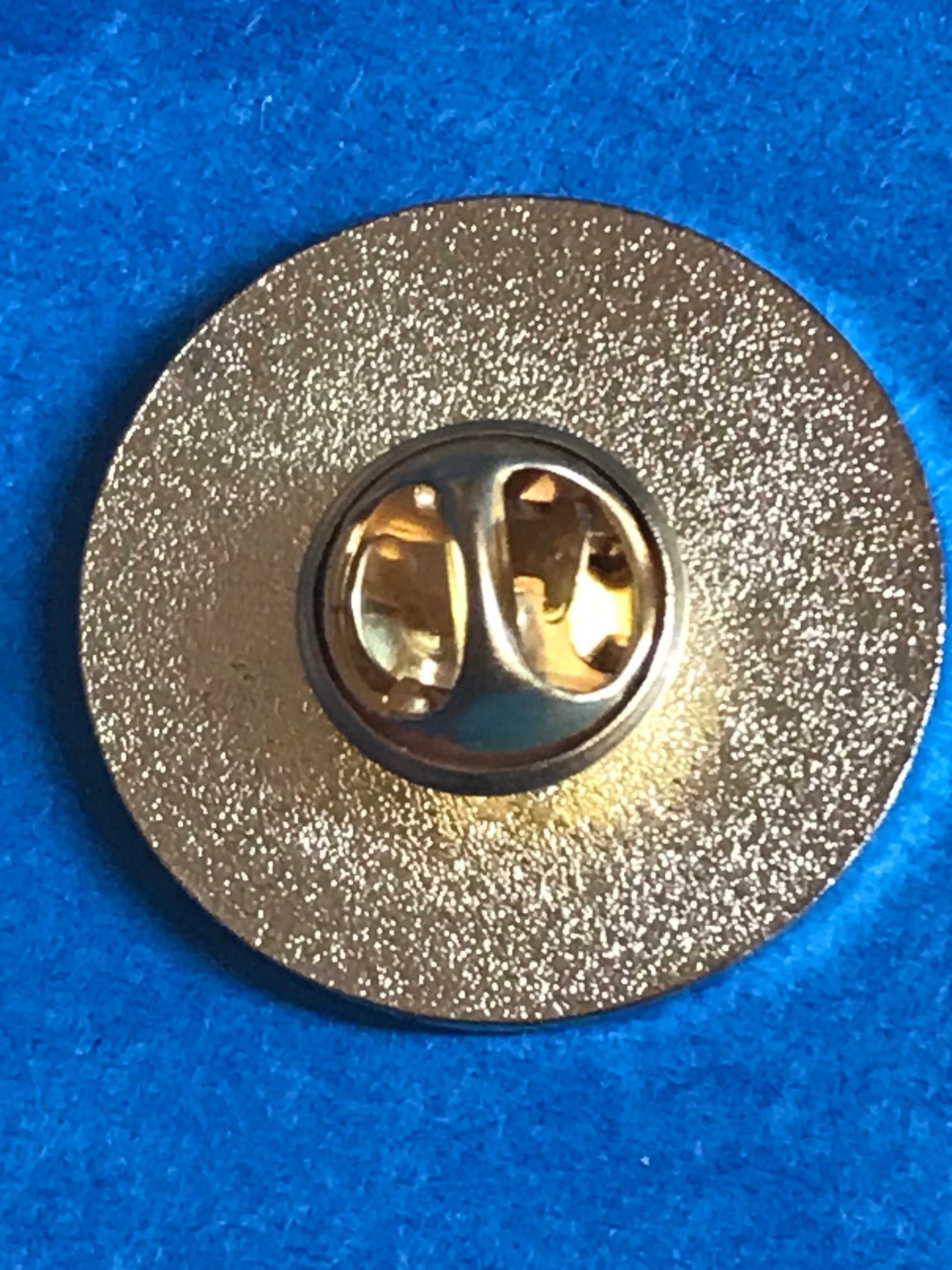 Northern Ireland lapel badge veteran 