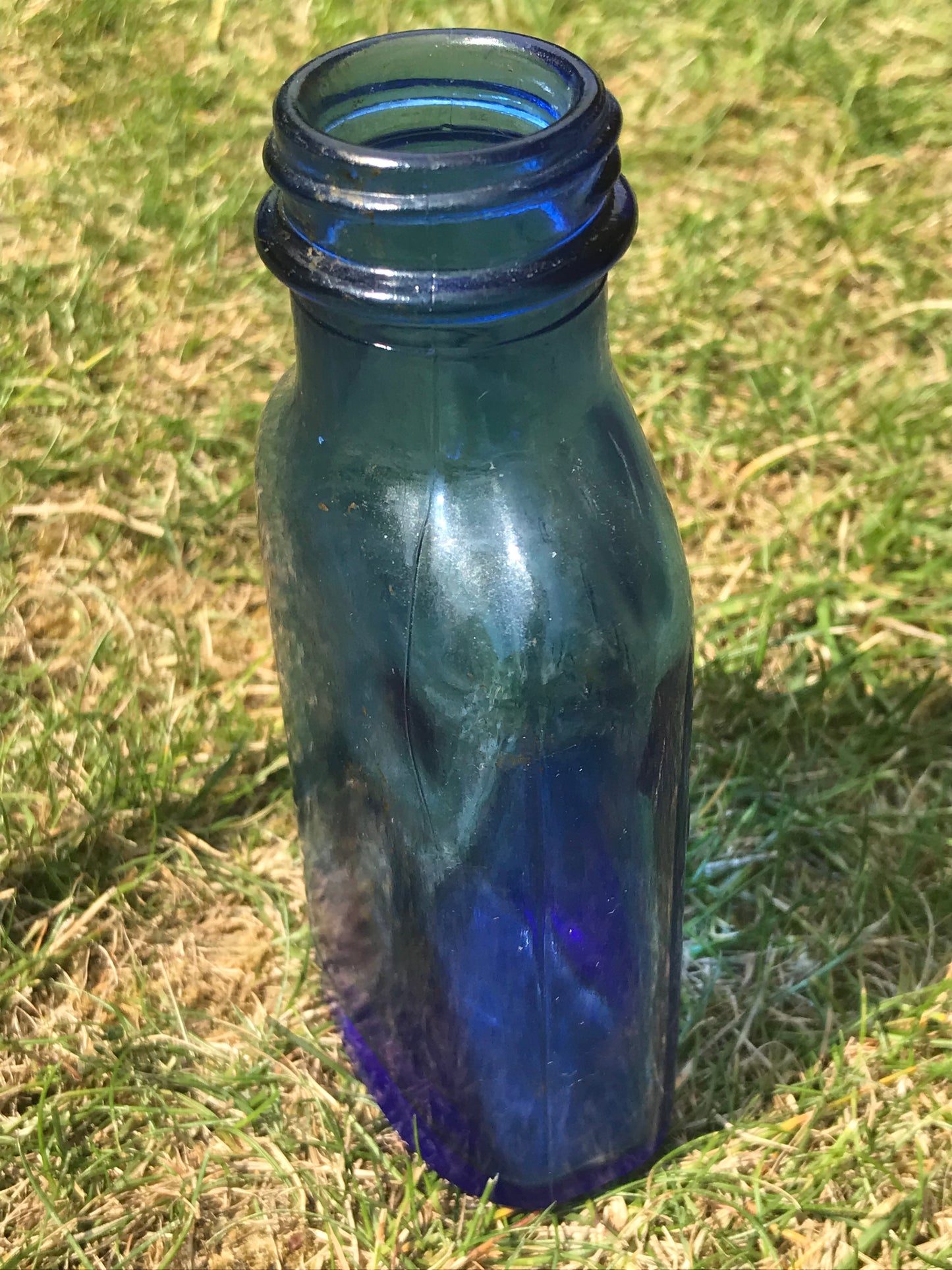 Cobalt Blue Milk of Magnesia small vintage bottle on grass