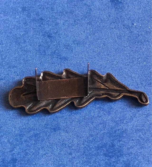 Bronze leaf-shaped decorative item on a blue background