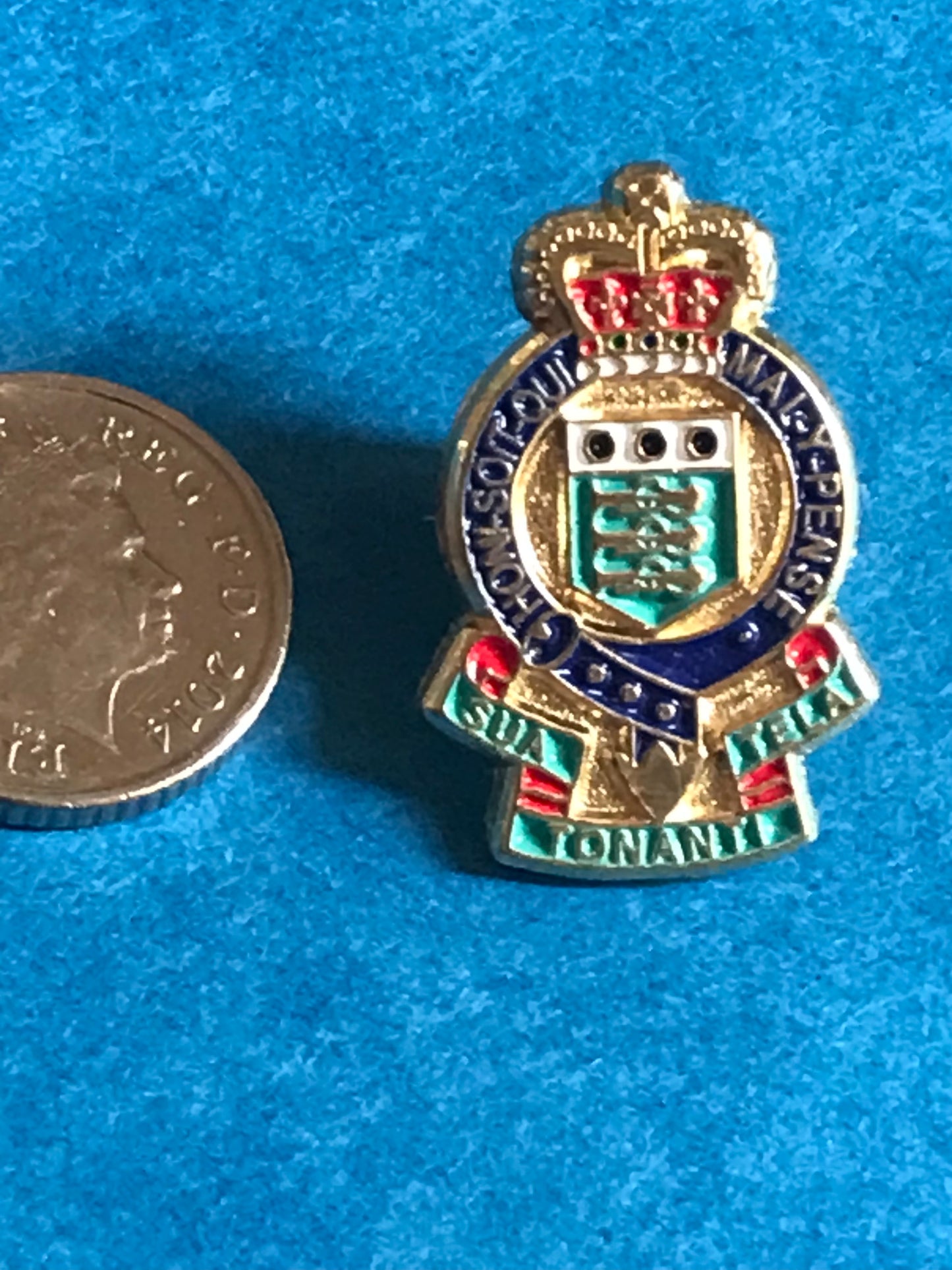 Military lapel pin badge RAOC