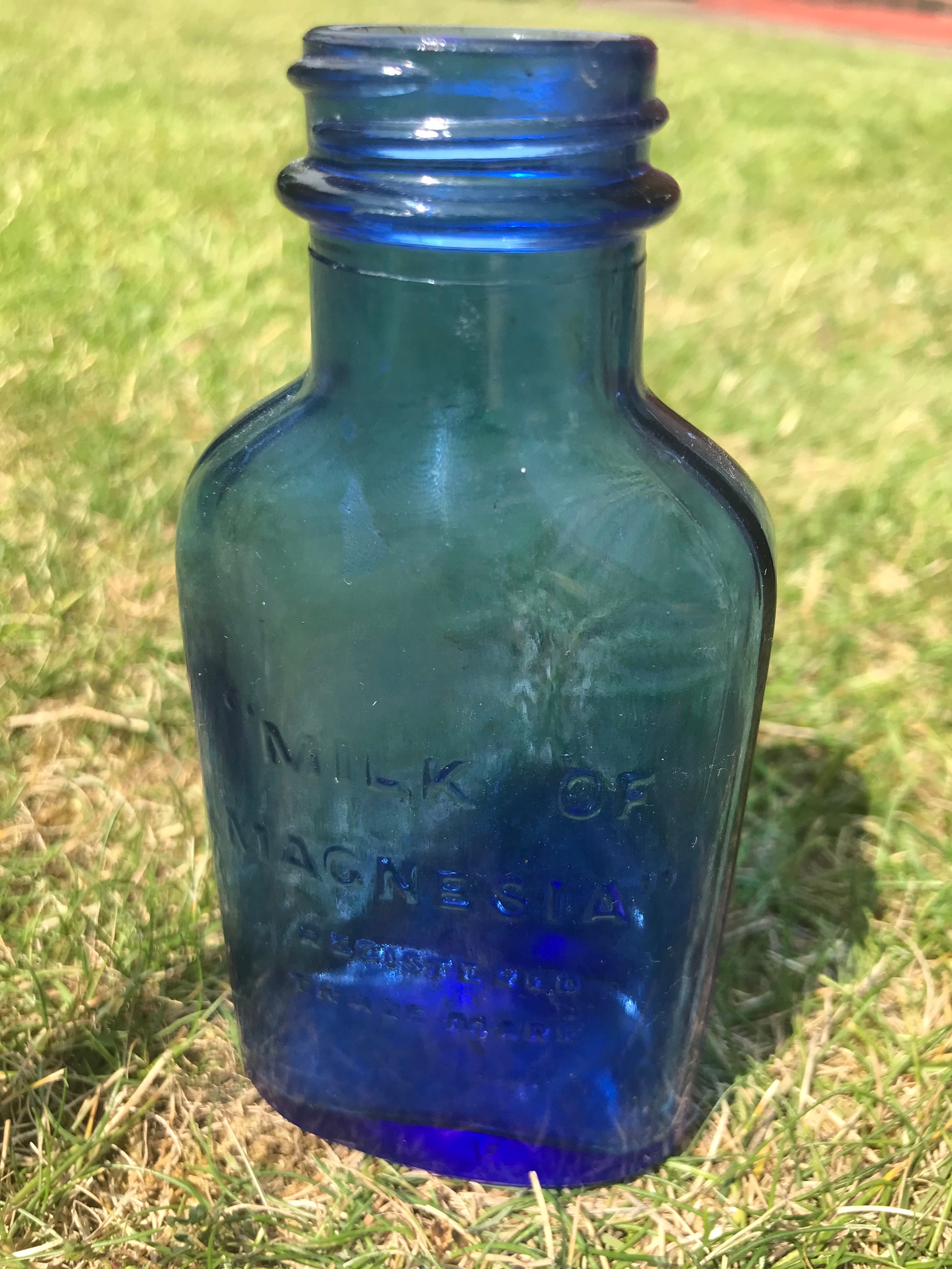 Cobalt Blue Milk of Magnesia small vintage bottle on grass