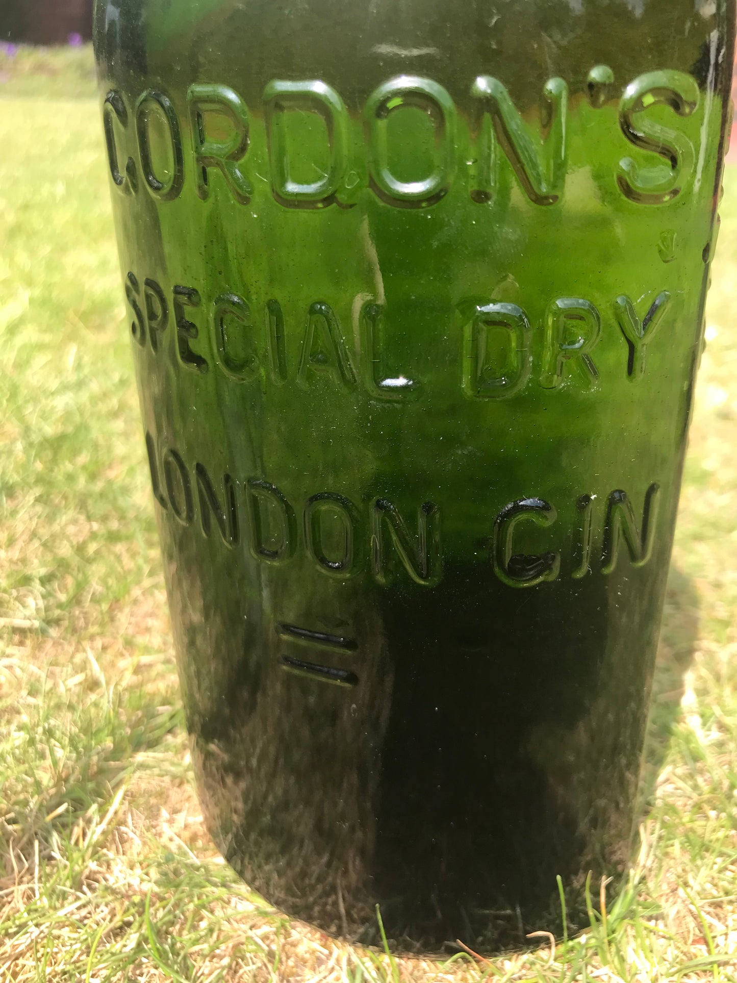 Gordon’s Special Dry London Gin Green Glass bottle with embossed text on a grassy background