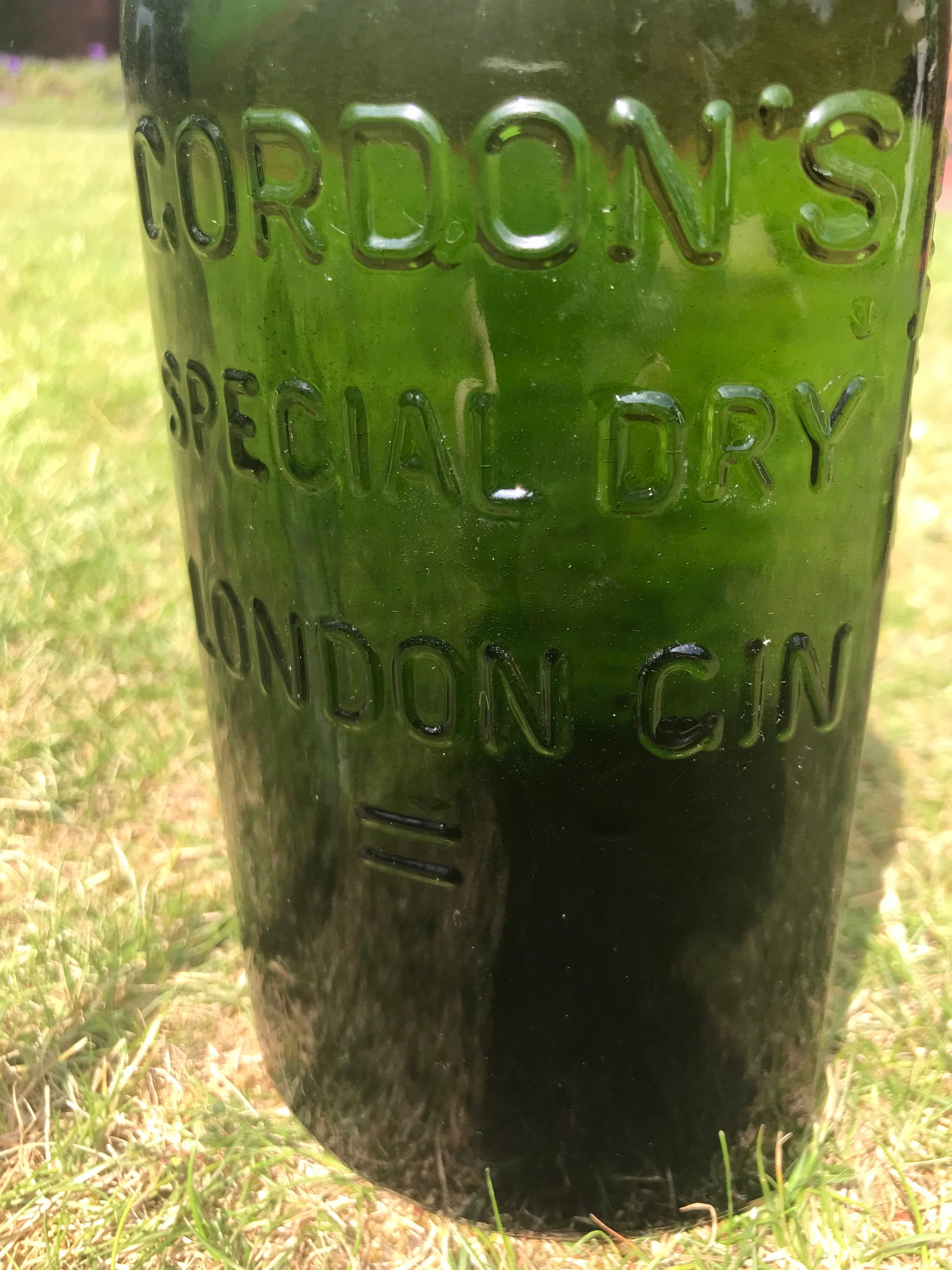 Gordon’s Special Dry London Gin Green Glass bottle with embossed text on a grassy background