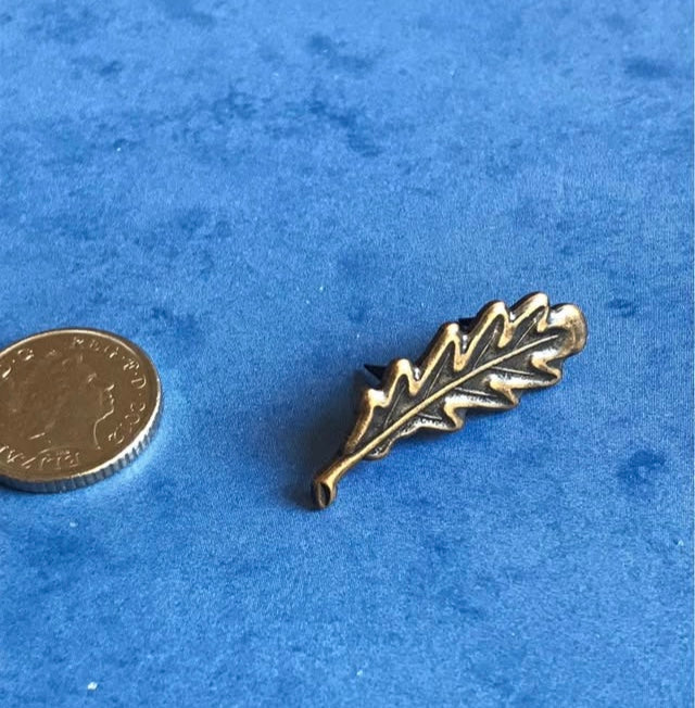 Bronze leaf-shaped pin next to a coin on a blue background