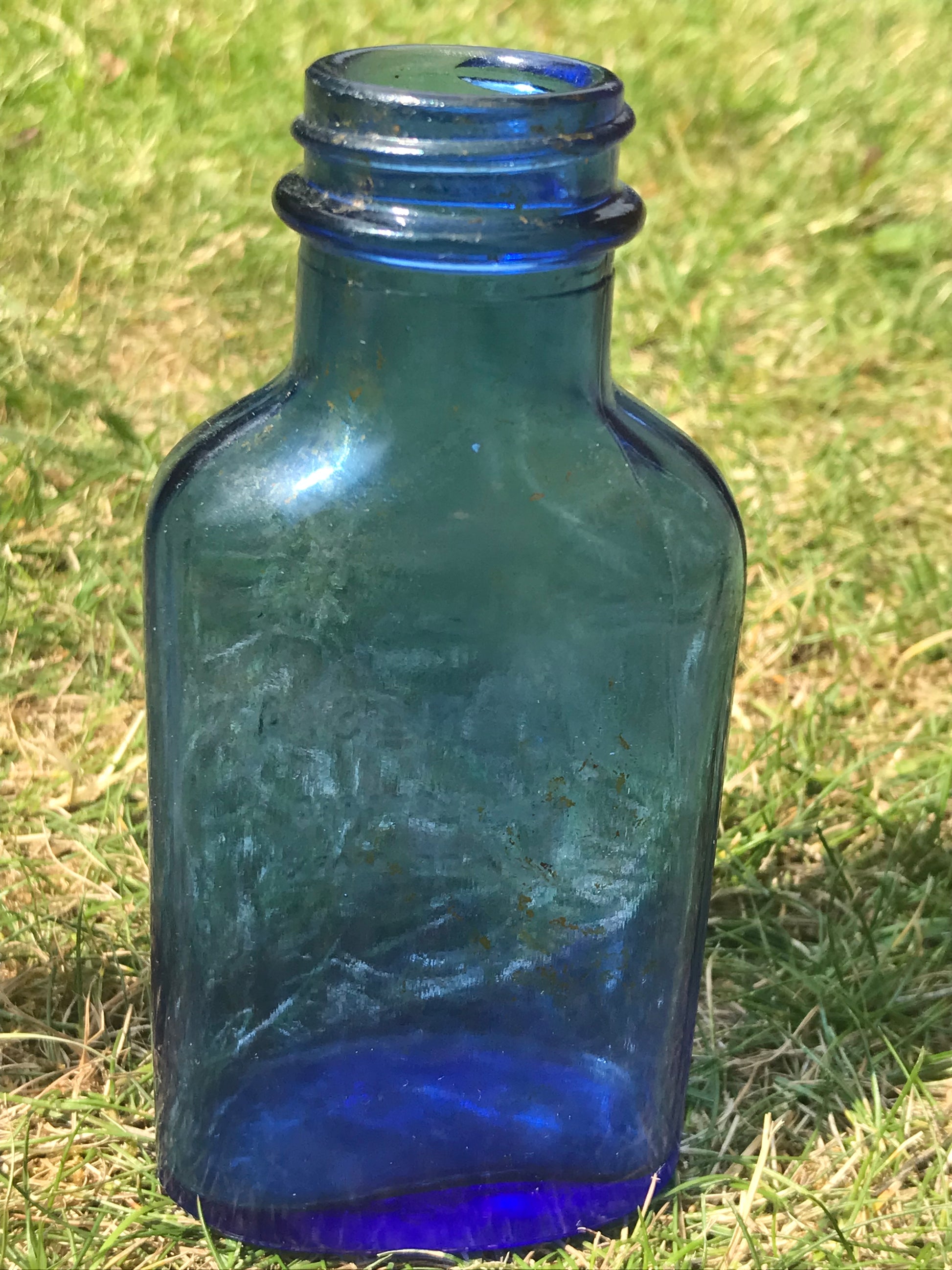 Cobalt Blue Milk of Magnesia small vintage bottle on grass