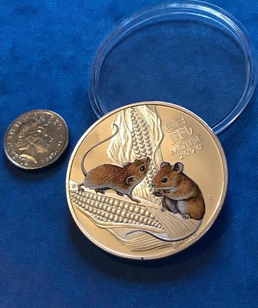 Year of the mouse silver coin