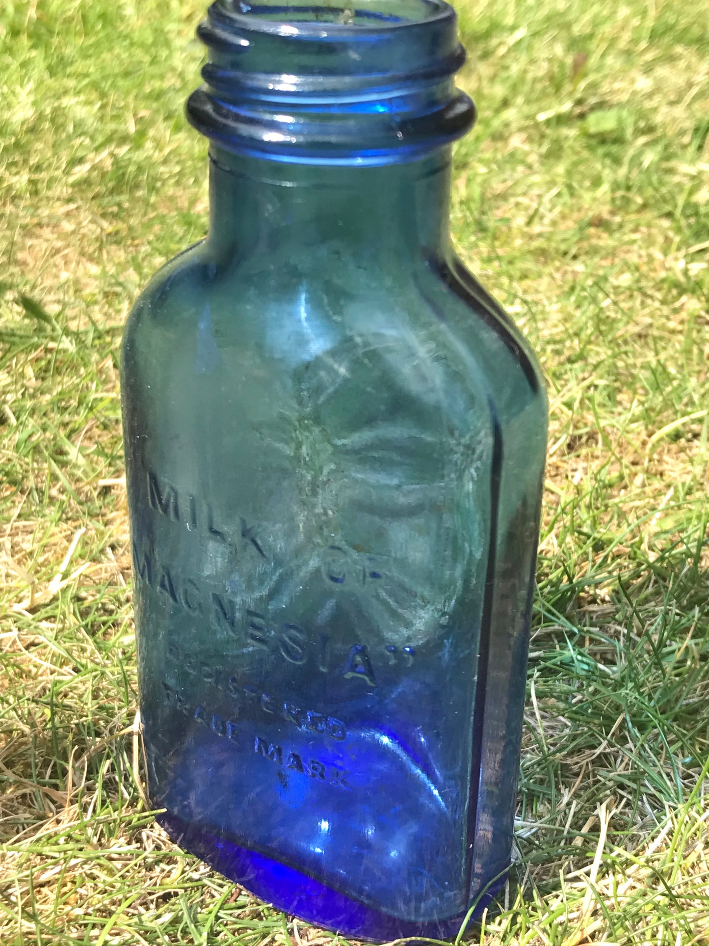 Cobalt Blue Milk of Magnesia small vintage bottle with embossed design on a grassy background