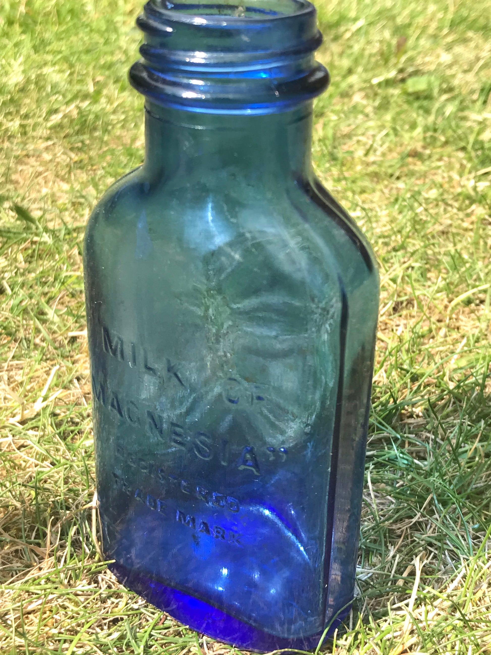Cobalt Blue Milk of Magnesia small vintage bottle with embossed design on a grassy background