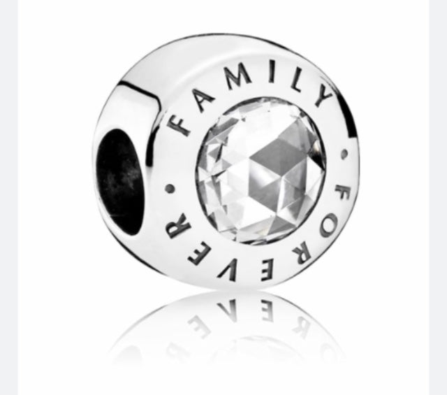 Forever Family silver charm 925 on white background for your bracelet 