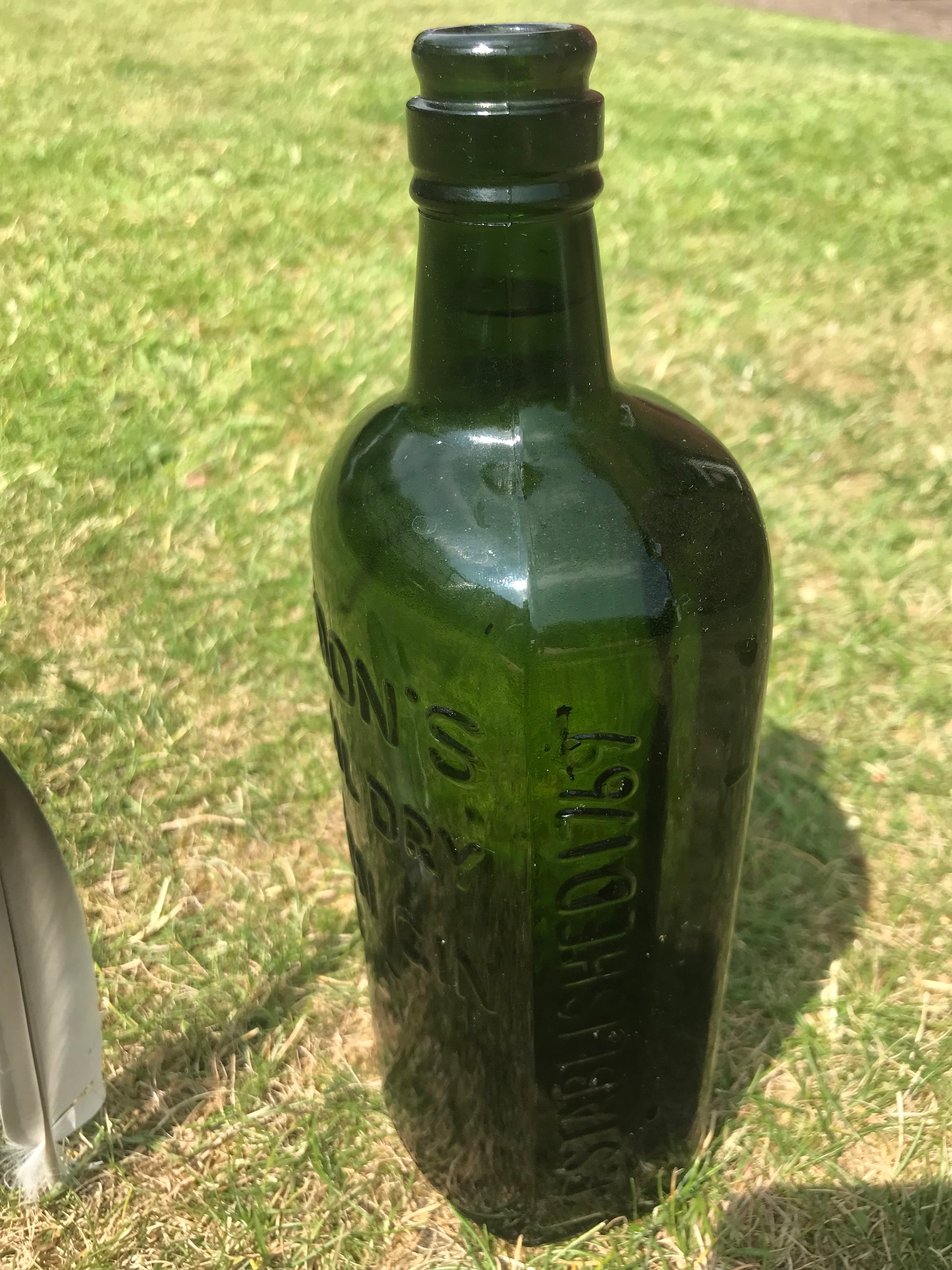 Gordon’s Special Dry London Gin Green Glass bottle with visible branding on a grassy background